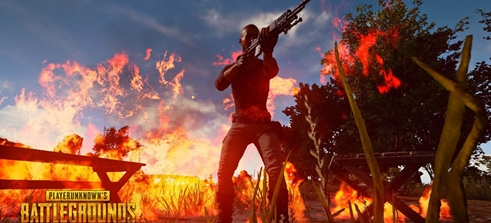 他们的忠诚 他们的忠诚