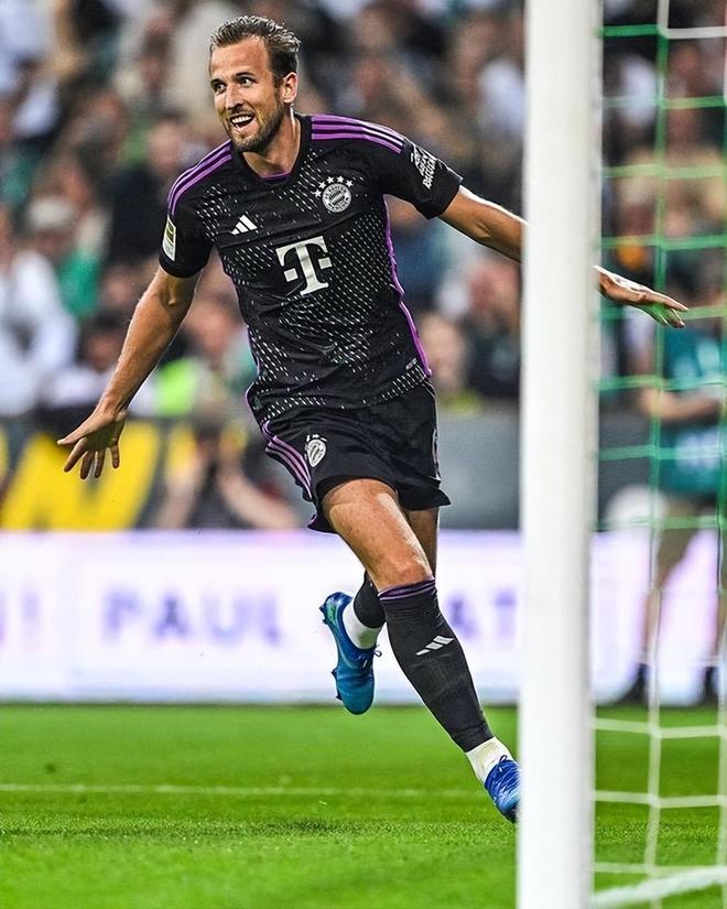 费用的情况 费用的情况