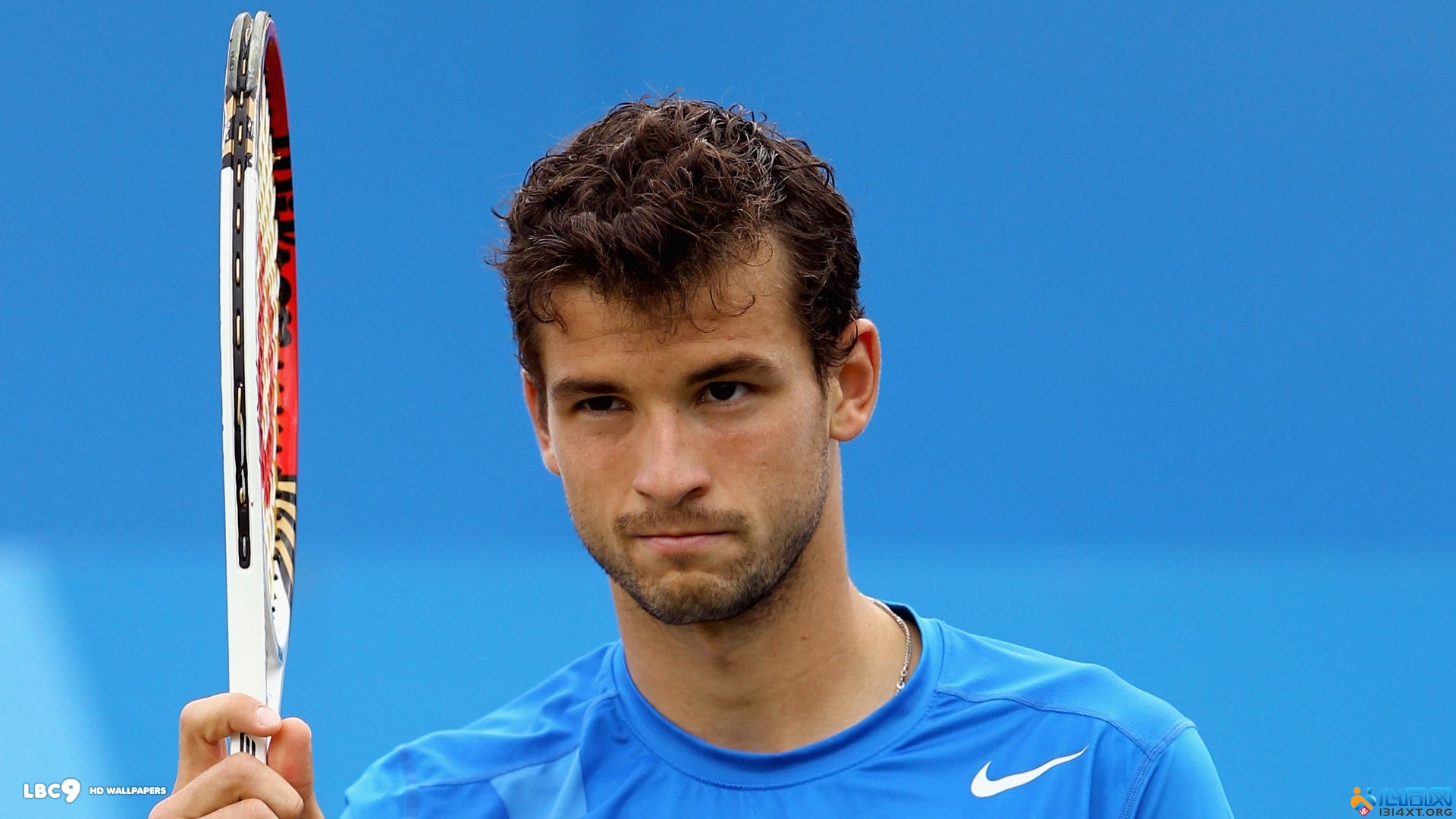 是鲜花与掌 是鲜花与掌